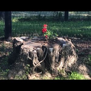 Meet your Posher, Freda